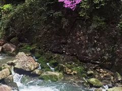 -天台山景区