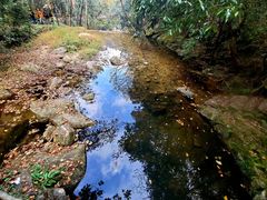 -燕子河大峡谷天坑仙境