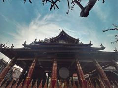 -西双版纳傣族园