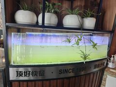 -顶好快餐(市府店)