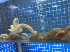 -星记小馆·小蓝龙·老南京砂锅菜(上海路店)