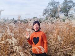 -汉长安城未央宫国家考古遗址公园