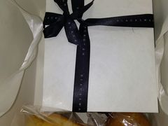 -BLACKSWAN黑天鹅(环球店)
