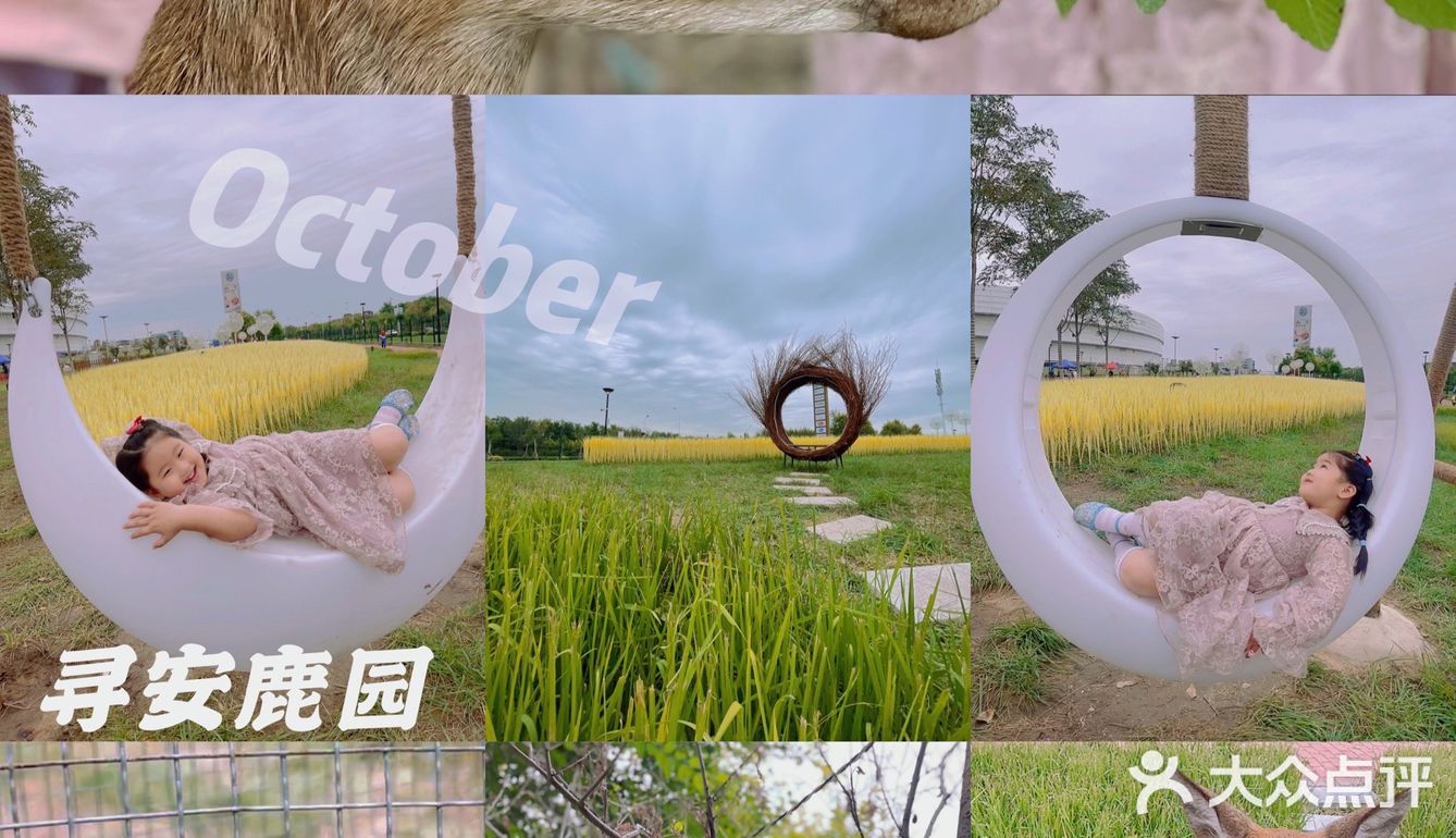 🍞十一假期🥱｜分享新的游玩好地｜散养的小鹿🍑｜🍴小鹿乱撞🥢