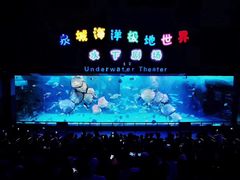 -泉城欧乐堡海洋极地世界