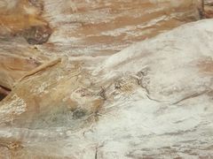 -青石桥市场北1-27号