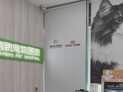 -瑞鹏宠物医院·微创内窥镜·骨外科·牙科(翠竹分院)