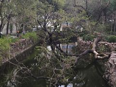 -三好坞景观餐厅