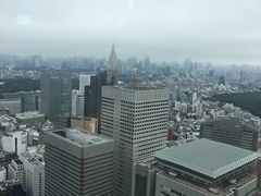 -东京都厅舍