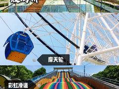 -百万葵园