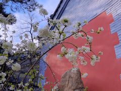 -潭柘寺景区