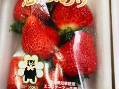 -油麻地果栏