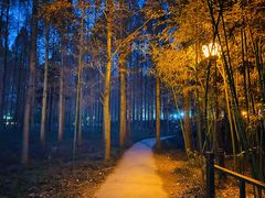 -河南省黄河迎宾馆