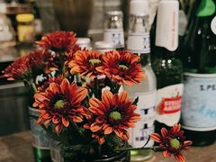 -Apollo·西班牙小酒馆(安福路店)