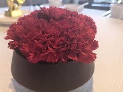 -悦融·京鲁菜·露台花园(安定门店)