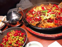 -老板恋上鱼(高新万达店)