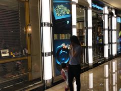 -澳门喜来登大酒店