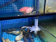 -吉友粥底火锅(方斜路店)