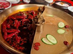 -小龙翻大江文化火锅(宽窄店)