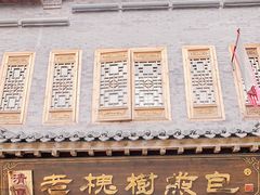 -老槐树煎包