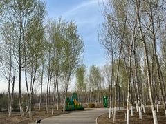 -东郊湿地公园