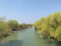-长兴太湖图影湿地文化园