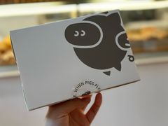 -WHEN PIGS FLY当猪飞