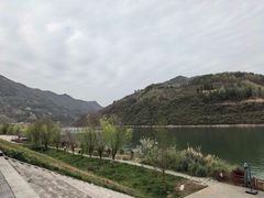 -后柳水乡