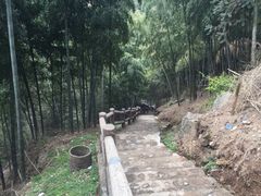 -藏龙百瀑风景区