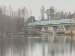 -白鹭湾湿地公园