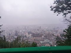 -兰山公园