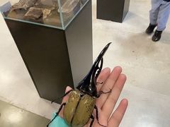 -燕莎友谊商城(亮马桥店)