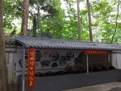 -青城园乡村风味庄