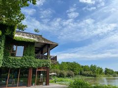 -东滩湿地公园观海楼餐厅