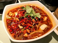 -真爱中国餐馆·年华店(朱雀大街店)