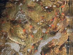 -小厨师·二十年沈家门小海鲜(百井坊巷店)