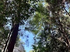 -梭布垭石林景区