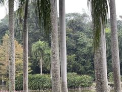 -中国科学院西双版纳热带植物园