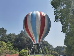 -铁山坪森林公园