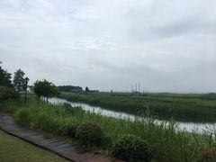 -太湖湖滨国家湿地公园-停车场