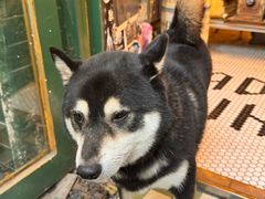 -大水的店(昙华林店)