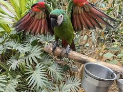 -南宫五洲植物乐园