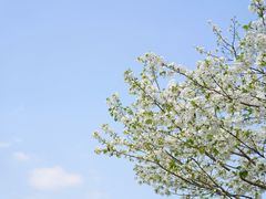 -重庆中央公园(渝北区)