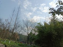 -重庆彩云湖湿地公园