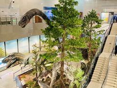 -湖南省地质博物馆