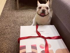 -哈根达斯(武汉天地店)