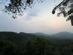 -风云岭森林公园