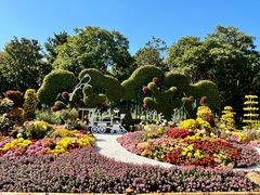 -上海共青森林公园