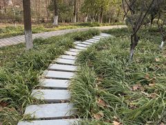 -习家池