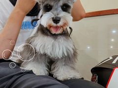 -艾贝尔宠物医院·24H转诊中心·肿瘤猫专科(江宁双龙店)